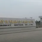Lipase Enzyme Food/Feed/Industrial Grade