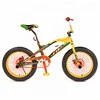 China Factory Hot Sale BMX 4.0" Freestyle Kids Bike