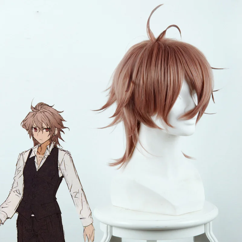 Coshome Fate Apocrypha Astolfo Asutorufo Atalanta Wig Jeanne Shirou Kotomine Saber Cosplay Costume Wigs (4)