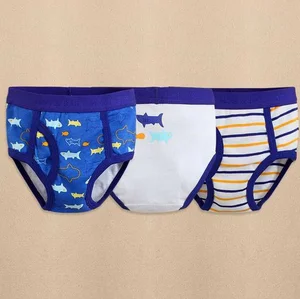 washable reusable underwear