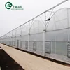 Hydroponic Lettuce Pvc Greenhouse Roofing Plastic For Sale