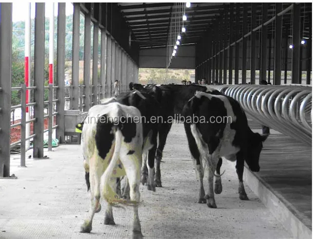 hot-dip galvanized dairy farm equipment