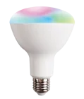 Dimmable RGB Changing Google Home Alexa Tmall Genie Voice Control Smart Bulb