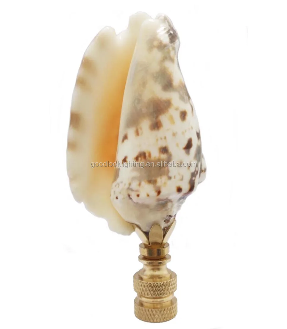 natural sea snail w/polished base lamp finials/lamp parts