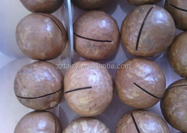 buy cracker machine,macadamia nut cracker machine,macadamia