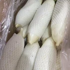 Sell white /Fresh chinese radish/Fresh white Radish from Brother Kingdom