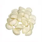 New Crop Frozen Garlic Cloves