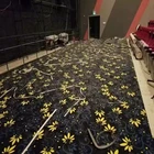 3D Elegant Fireproof Flooring Cinema Carpet