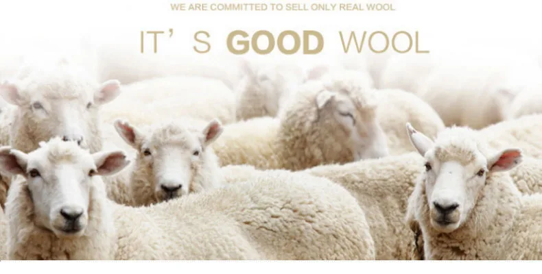 4571733481_1887142916