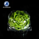 High quality Food grade Clear PET plastic clamshell lettuce packaging