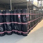 Basement Waterproof Membrane SBS/APP Modified Bitumen Waterproof Coiled Material