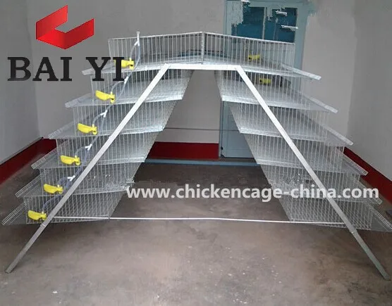 BAIYI Hot Selling Quail Cages For Sale