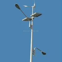 Energy Saving 100watts Wind Solar Hybrid