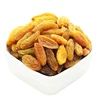 Sweet XinJiang Golden Raisins Kismis Dried Bulk Grapes