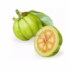 Capsules Weight Loss Capsules Best Weight Loss 500mg Garcinia Cambogia Extract Capsules