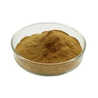 Organic Reishi Mushroom Extract powder