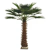 /product-detail/outdoor-decoration-cheap-artificial-palm-tree-with-2019-new-design-60838675271.html