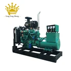 Custom DC 200 kw 200kw 250kva Diesel Generator Genset