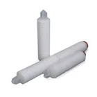 Sterile PP PTFE Hepa Cartridge air Filter for Industrial analysis