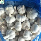 2019 中国の純粋な白ニンニク/Bawang Putih 、ホット販売 New 作物
