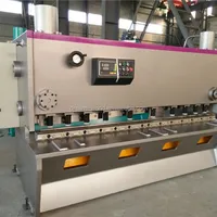 Iron Cutter Ce Certificate Hydraulic Swing