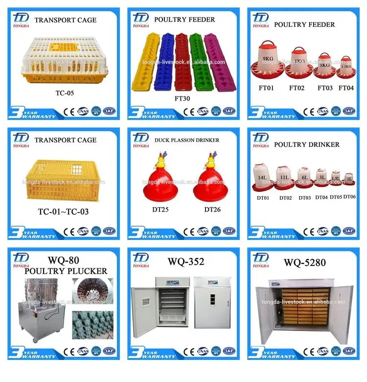 New design high quality rabbit cages for sale ISO certificate rabbit cage/vertical cage