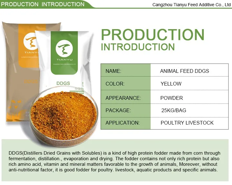 Distiller Dried Grain With Soluble 26 Buy Corn Ddgs,Ddgs Distiller
