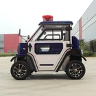 2 seat adult ODM electric sightseeing cars with cheap price