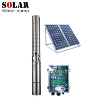4inch Solar Dc 1kw Pump Factory
