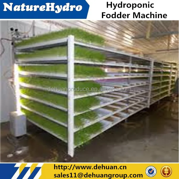 hydroponics fodder machine ,wheat /barley fodder sprout system