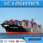 LCL fba freight forwarder shipping from shanghai to usa Amazon DDP DDU