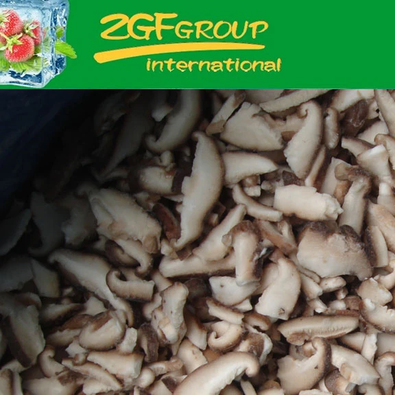 high frozen reishi mushroom extract for sale