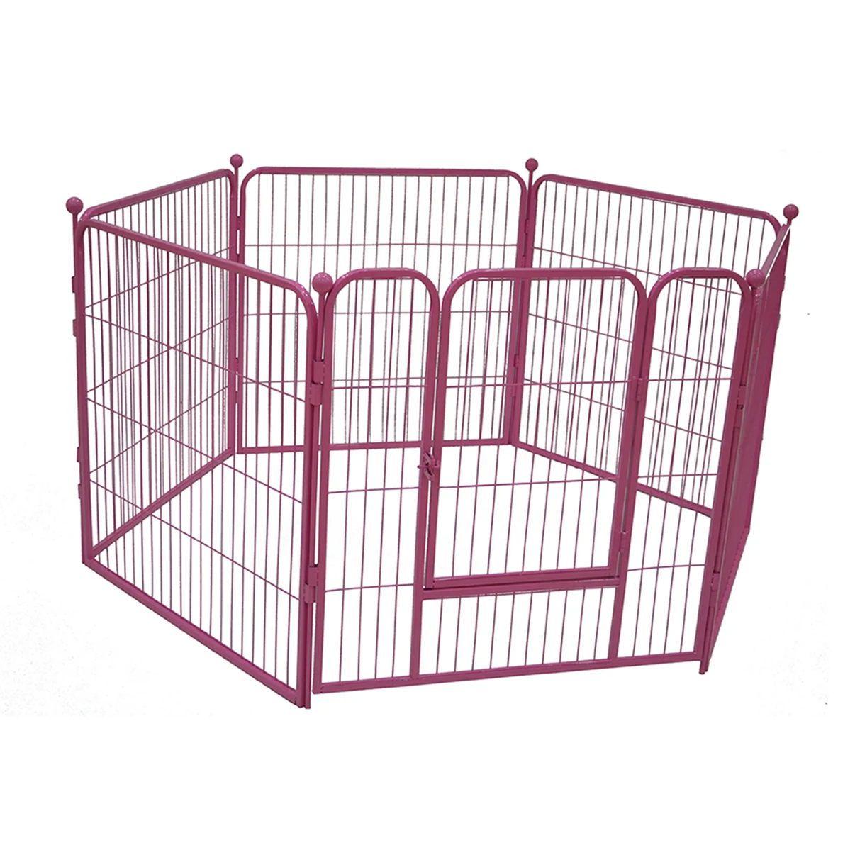 dog fence.jpg