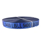 100% polyester 50MM*100M Custom Webbing Orange Cargo Lashing Straps