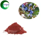Blueberry Fruit Extract/Blueberry Extract Proanthocyanidins/Blueberry Extract anthocyanins