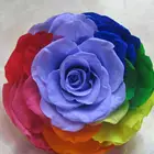 High quality artificial plant of preserved roses