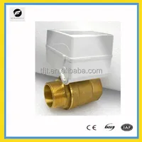 DC3 6V Electric Ball Valve DN32