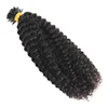 Wholesale untreated kinky curly I tip hair extension cuticle aligned raw virgin hair