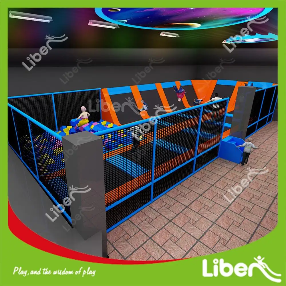Trampoline Park Business Plan