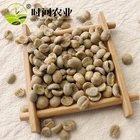 grade AA arabica green coffee bean