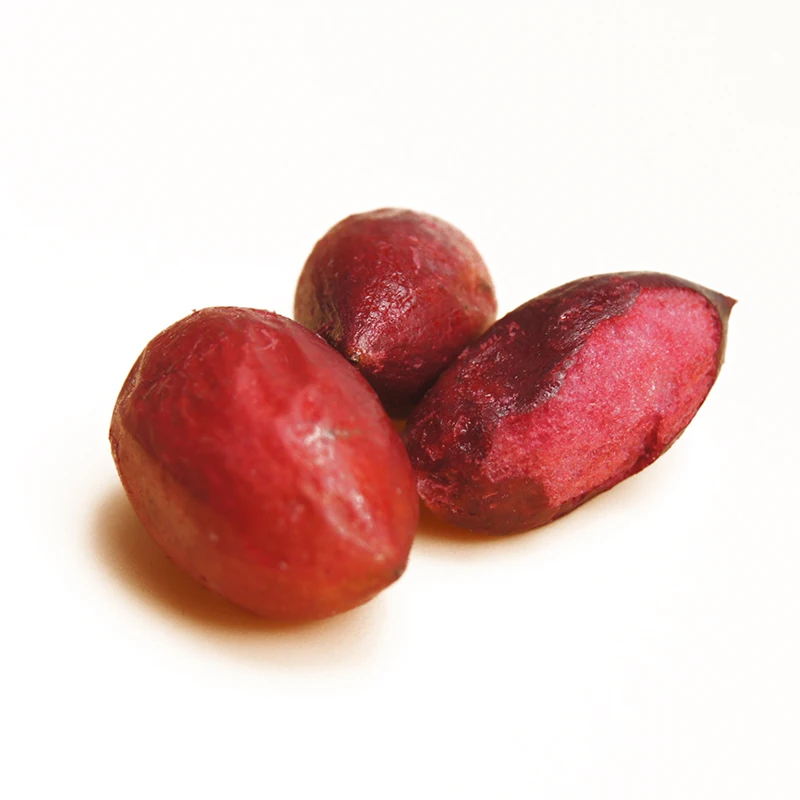 Miracle Berry Fruit Bagas secas Azedo Para Diversão Doce Festa Incrível Magia Comer Limões Frutas Secas