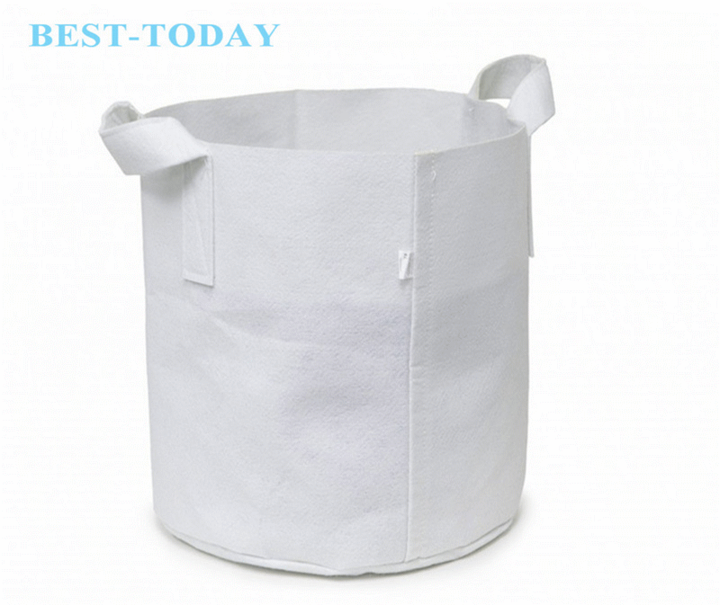 coco grow bag.gif