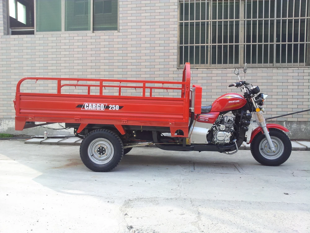 gas powered tricycles for adults