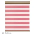 Double layers zebra window blinds cleaning machine