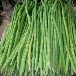 INDIAN VEGETABLE PRICES, FRUITS, SPICES EXPORTERS, CHICKEN EGG EXPORT FOB CIF, CABBAGE, LEMON, TOMATO, BEANS, OKRA, CARROT, ATTA