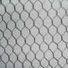 AN PING Hot Sale Wire Mesh