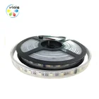 5050 Waterproof Light Led Strip Light 12V Digital Smart 5050 Waterproof Flex Led Strip Light Rgbw