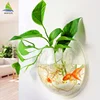 Wholesale clear round acrylic fish tanks for decoration
