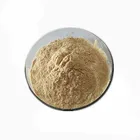 Bulk Price Best Quality Instant Drink Apple Flavor Powder
