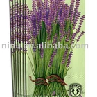 YLHK007 color travel tissues/cloth dinner napkins
